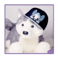 PeekABU Snapback Hat Husky